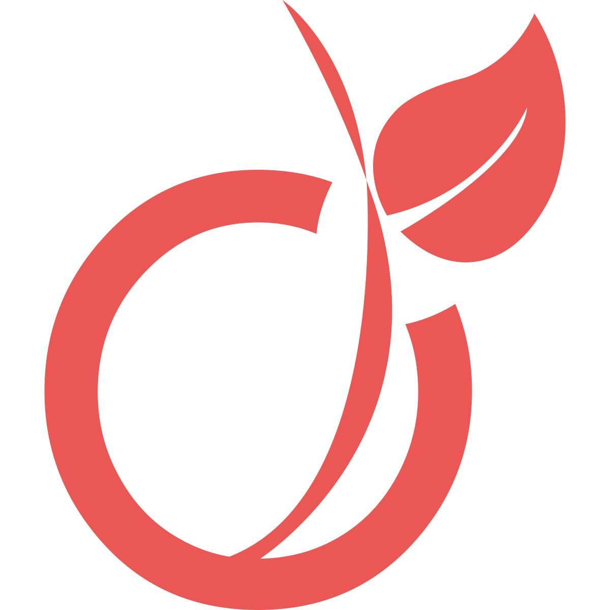 viadeo icon