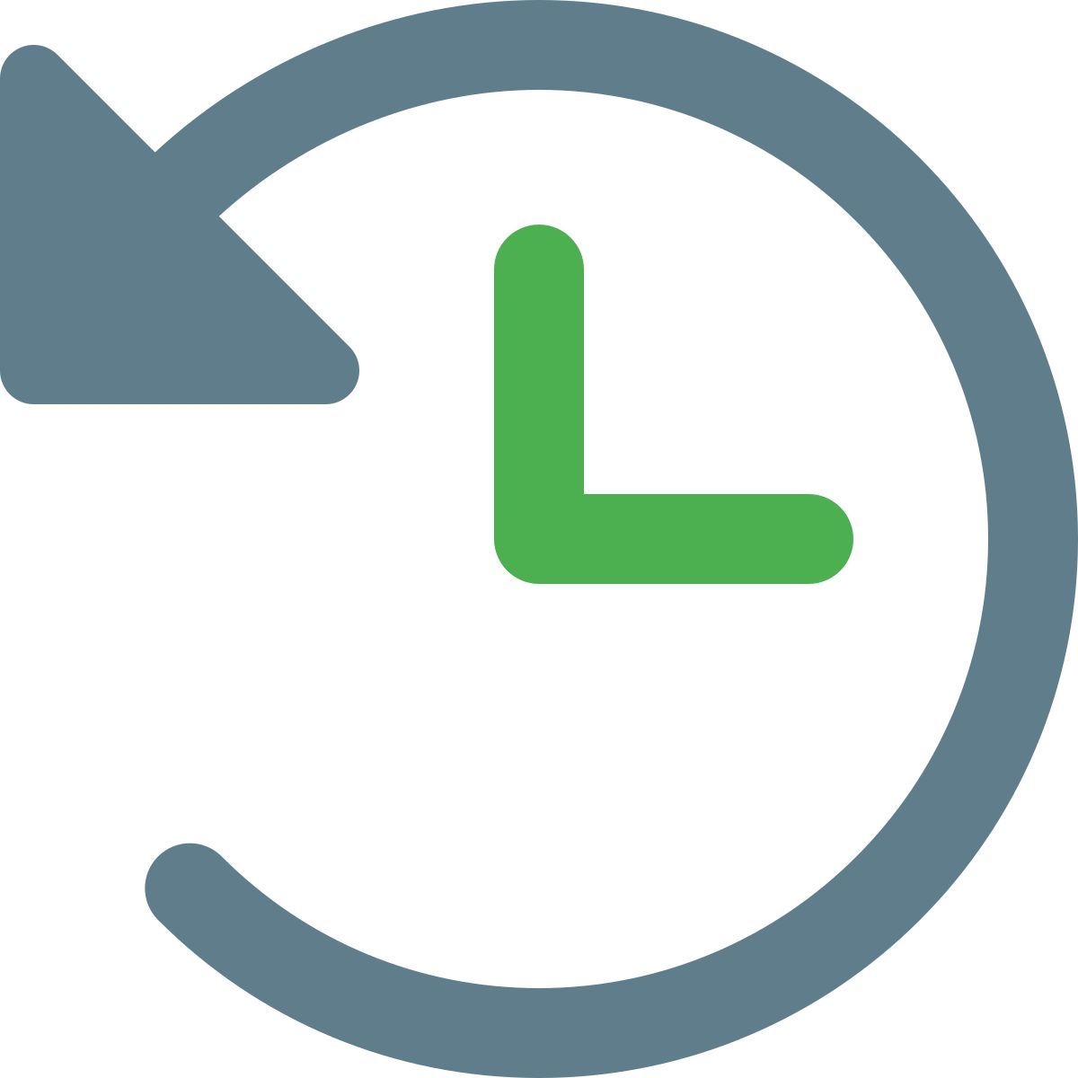 browsing history icon