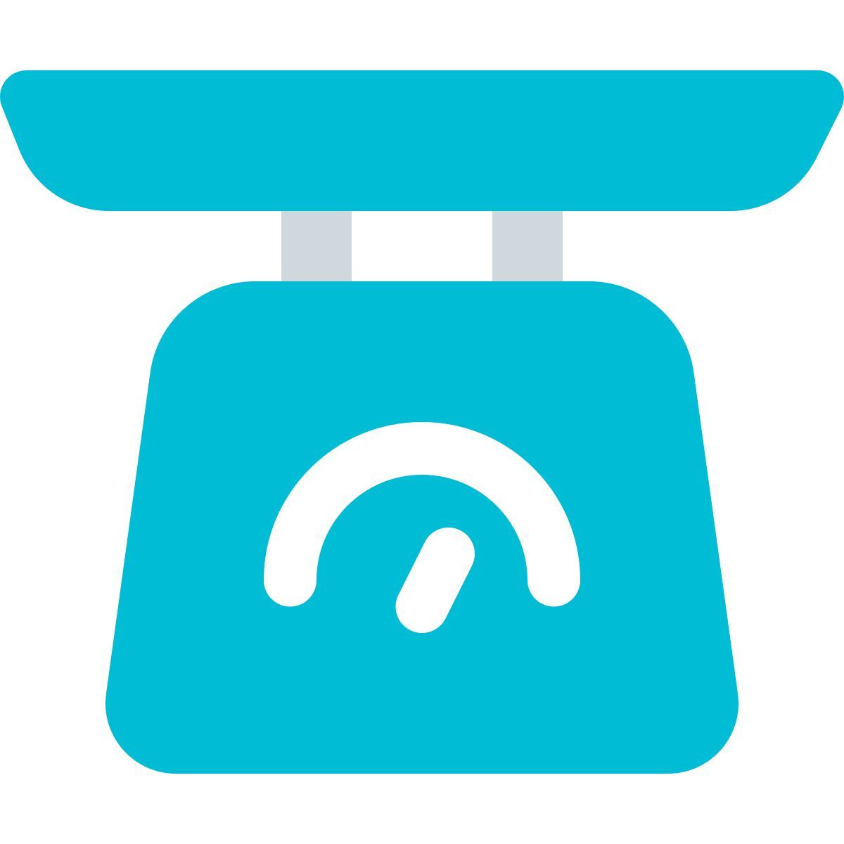 bilancia con indicatore a quadrante manuale icon