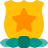 external honorary-mention-star-grade-badge-of-the-homeland-security-department-officers-badges-color-tal-revivo icon