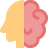 external human-brain-new-ideas-concept-of-new-start-up-startup-color-tal-revivo icon