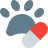 external medicine-requirement-for-a-wild-animal-disease-drugs-color-tal-revivo icon