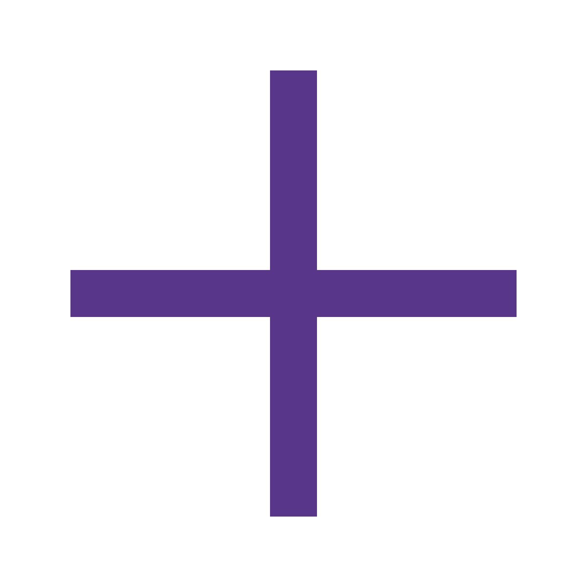 simbolo più icon