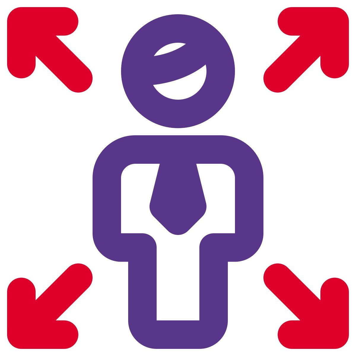 enlarge function of user handling computer layout icon