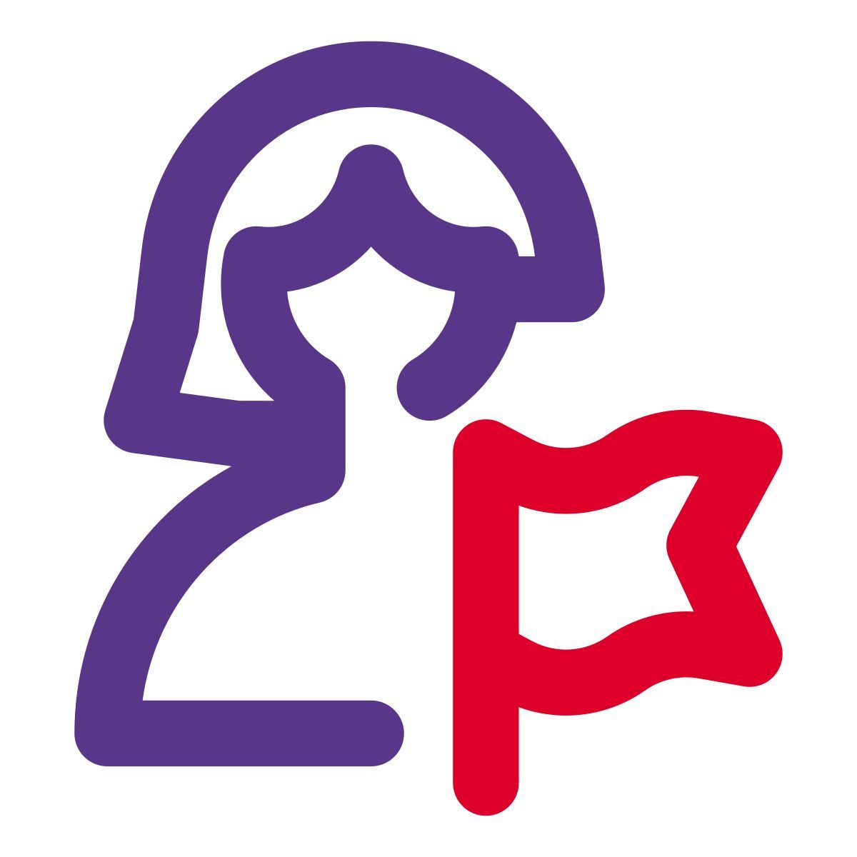 drapeau de l'utilisateur icon