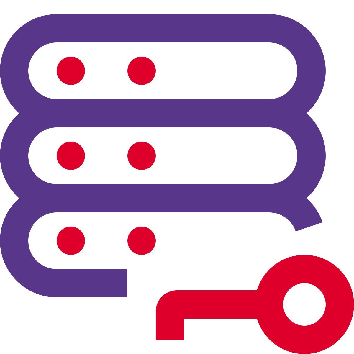 server key icon