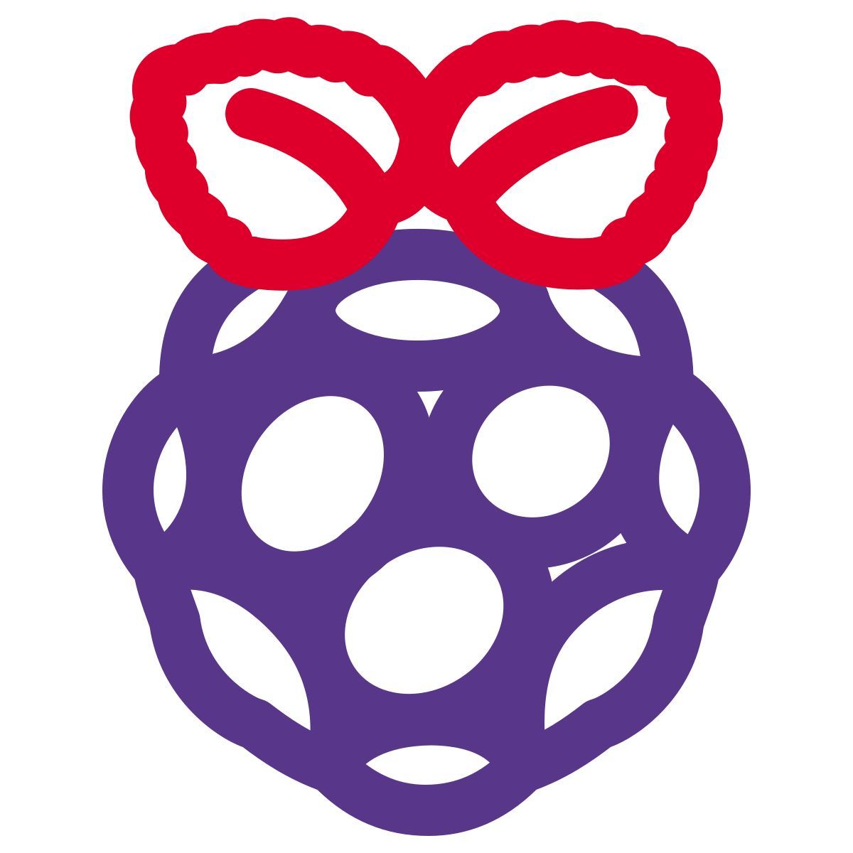 raspberry pi icon