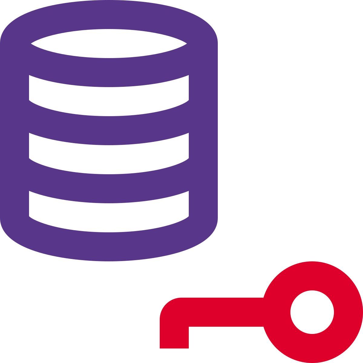 database authentication key icon