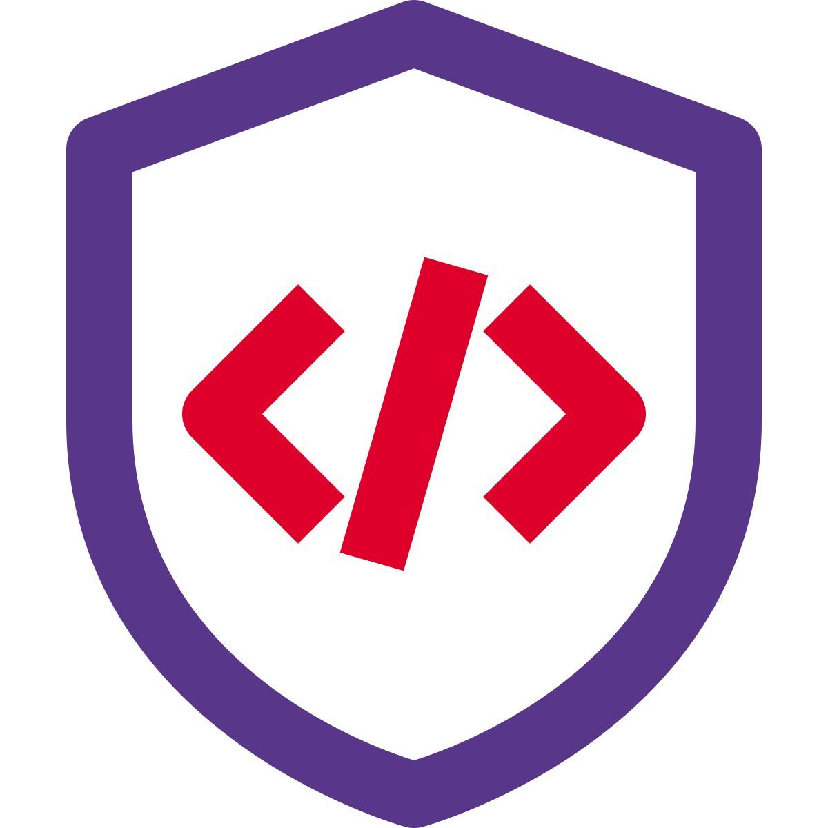 secure programming icon