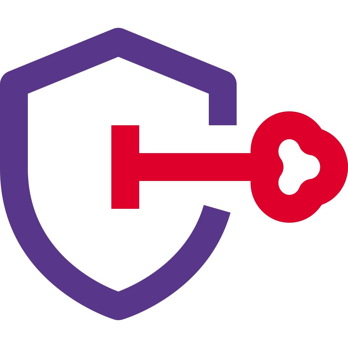 страховой ключ icon
