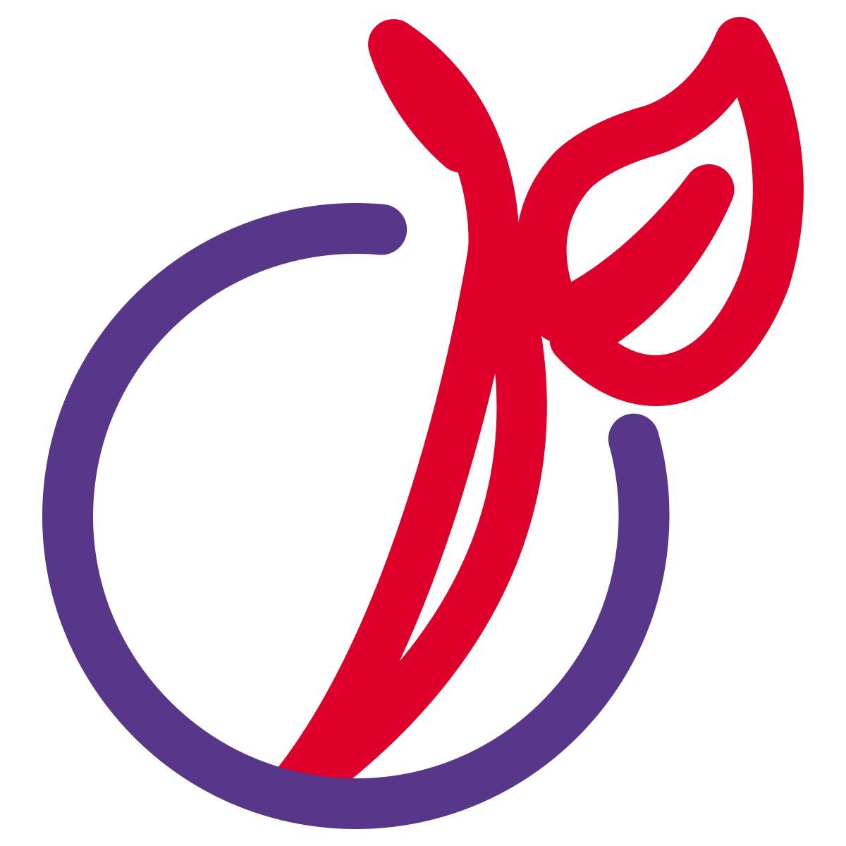 viadéo icon