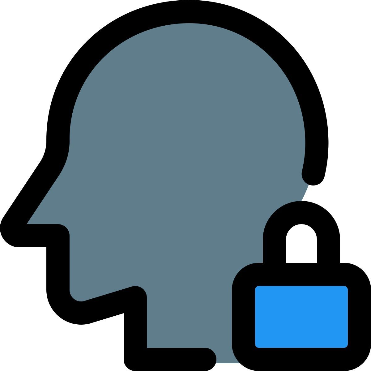 admin lock icon