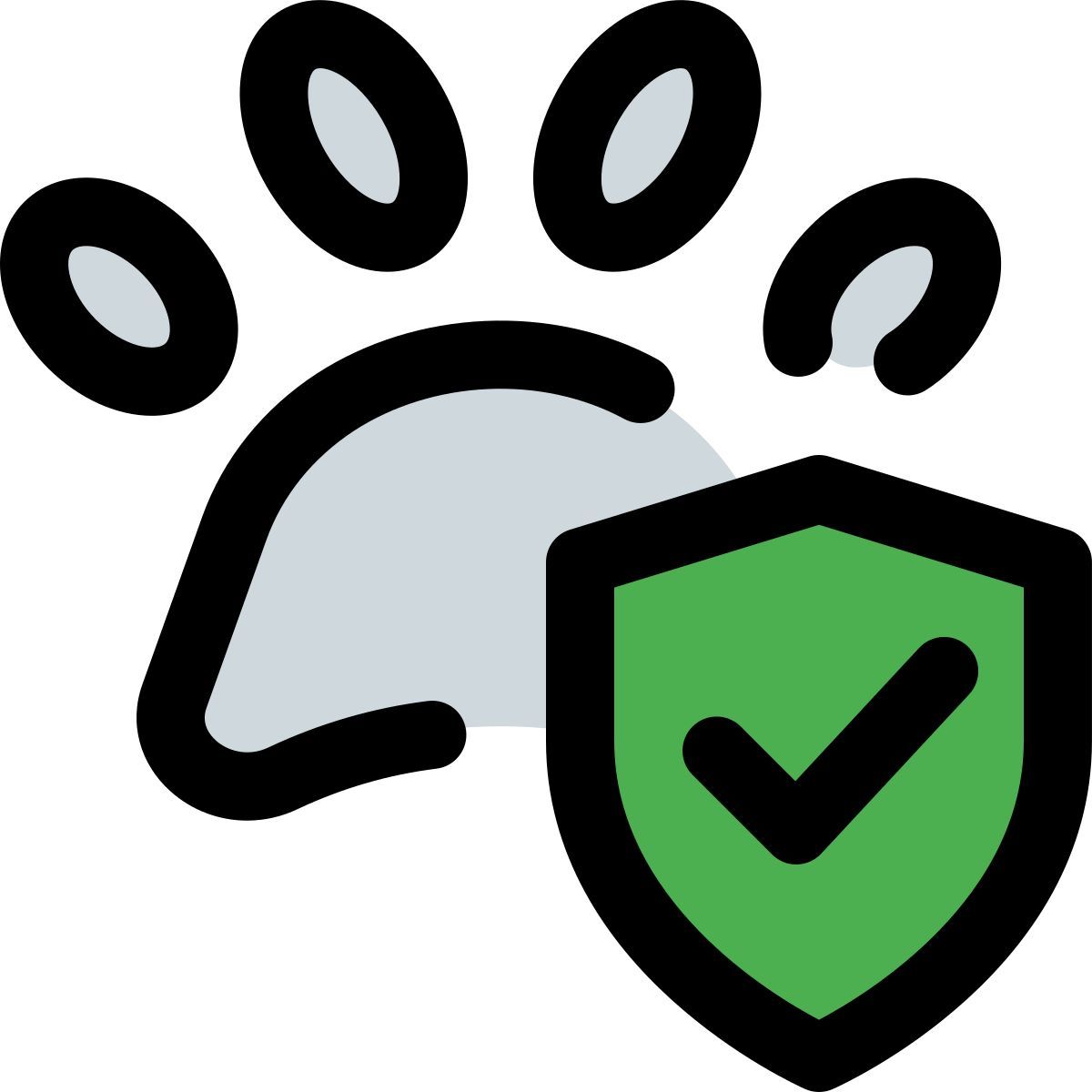 pet insurance coverage icon