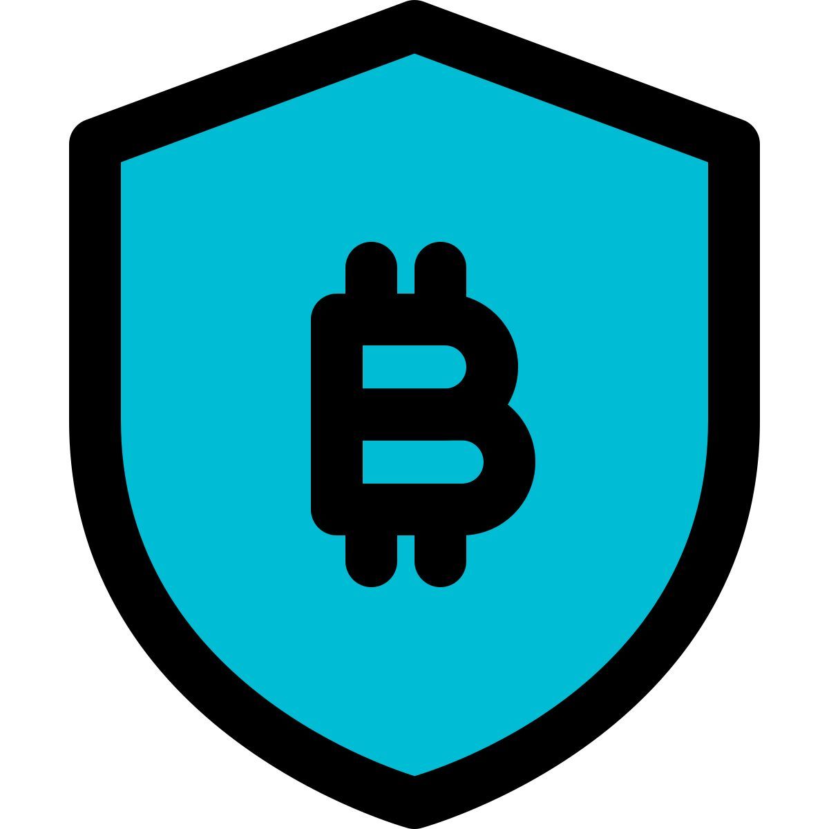 bitcoin security icon