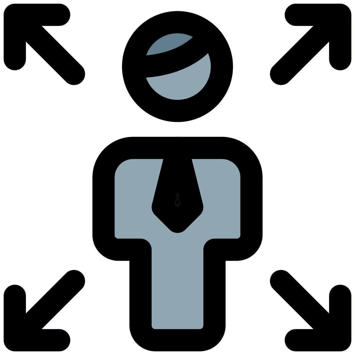 enlarge function of user handling computer layout icon