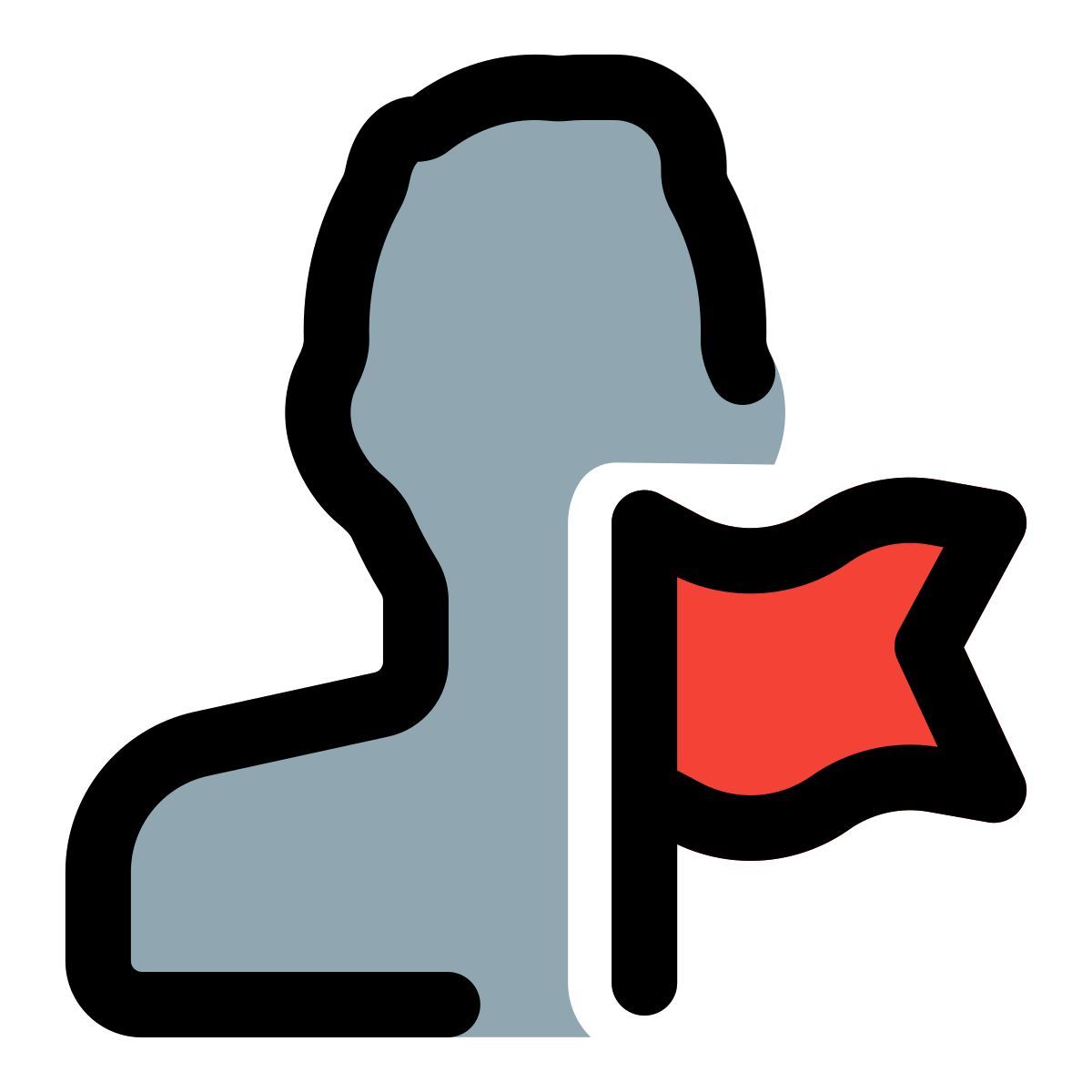 drapeau de l'utilisateur icon