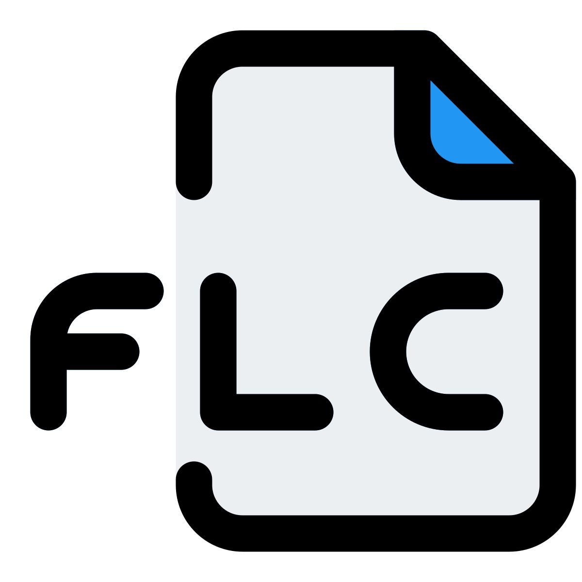 flc 파일 icon