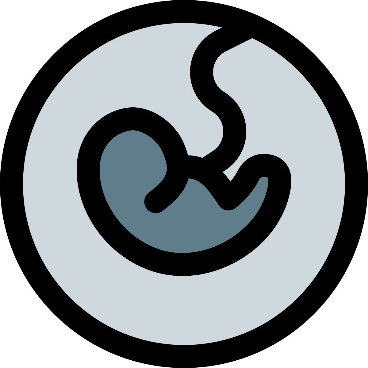 fetus icon