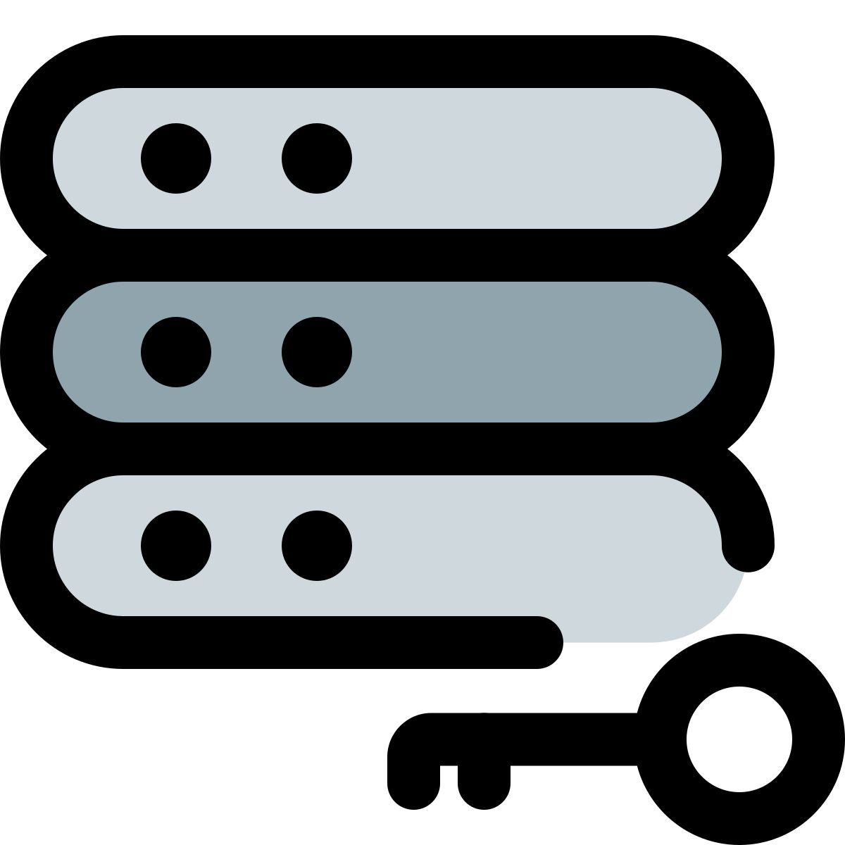 server key icon