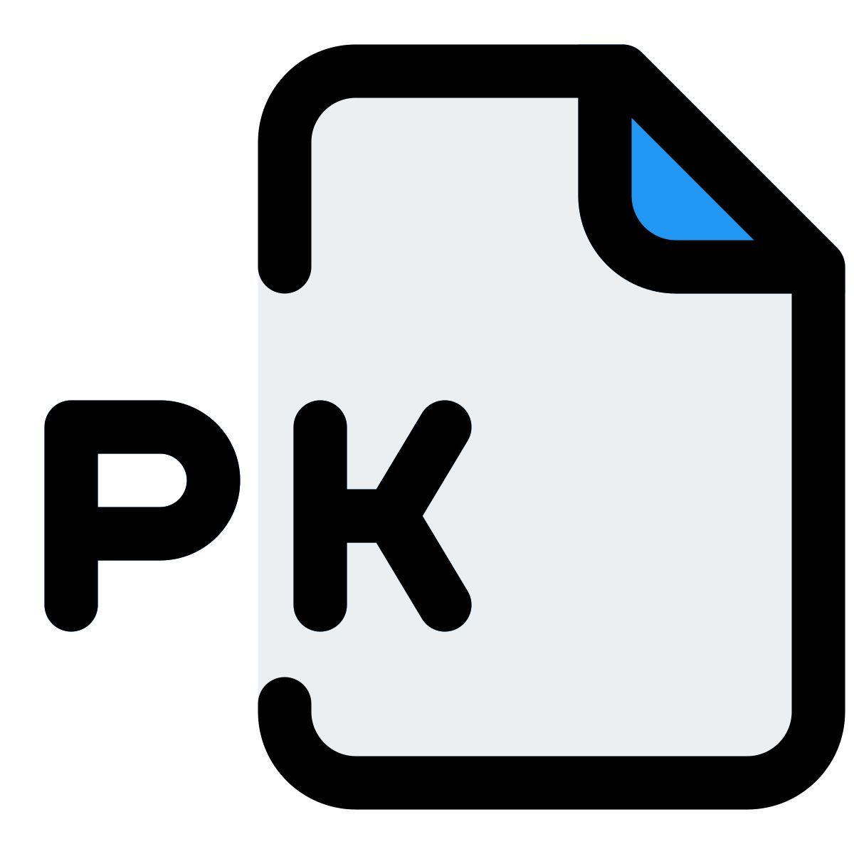 pk file icon
