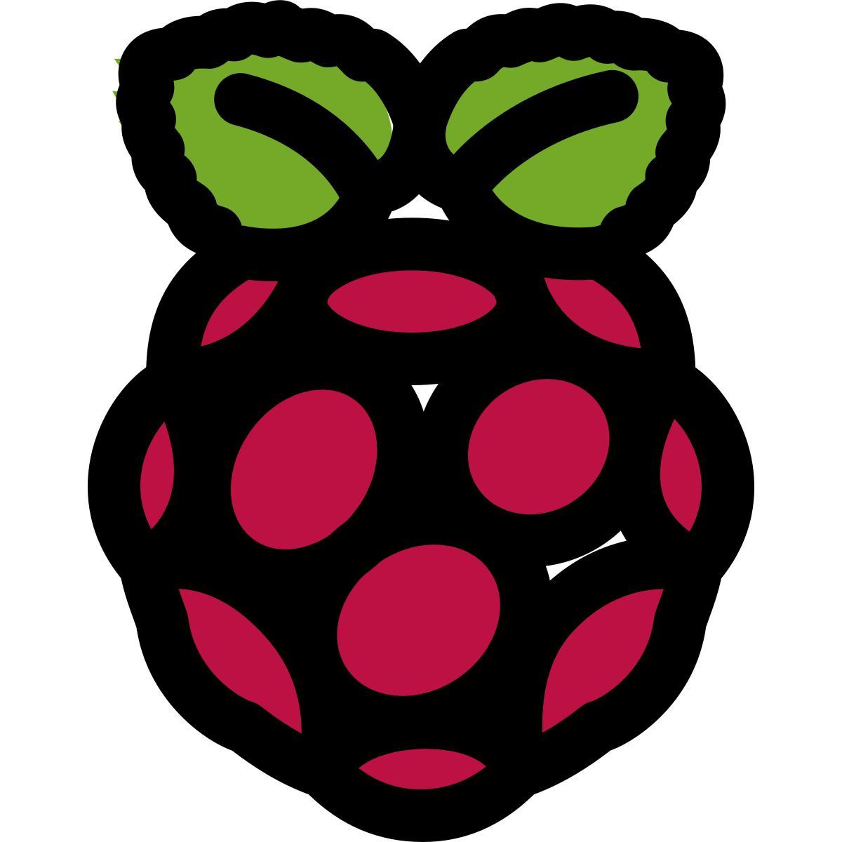raspberry pi icon