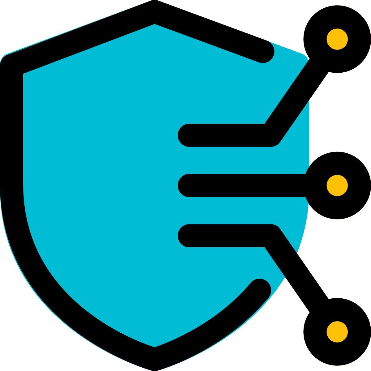secure network icon