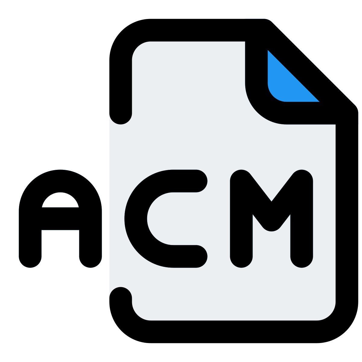 fichier acm icon