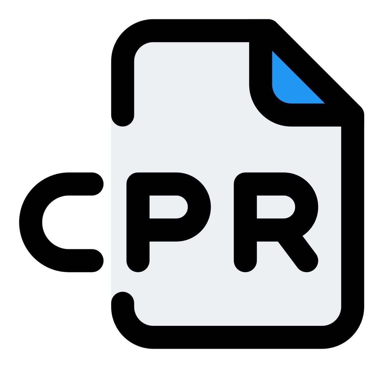 archivo de rcp icon
