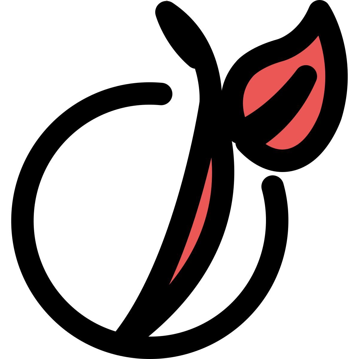 viadéo icon