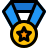external star-medal-for-the-outstanding-performance-in-defense-department-rewards-filled-tal-revivo icon