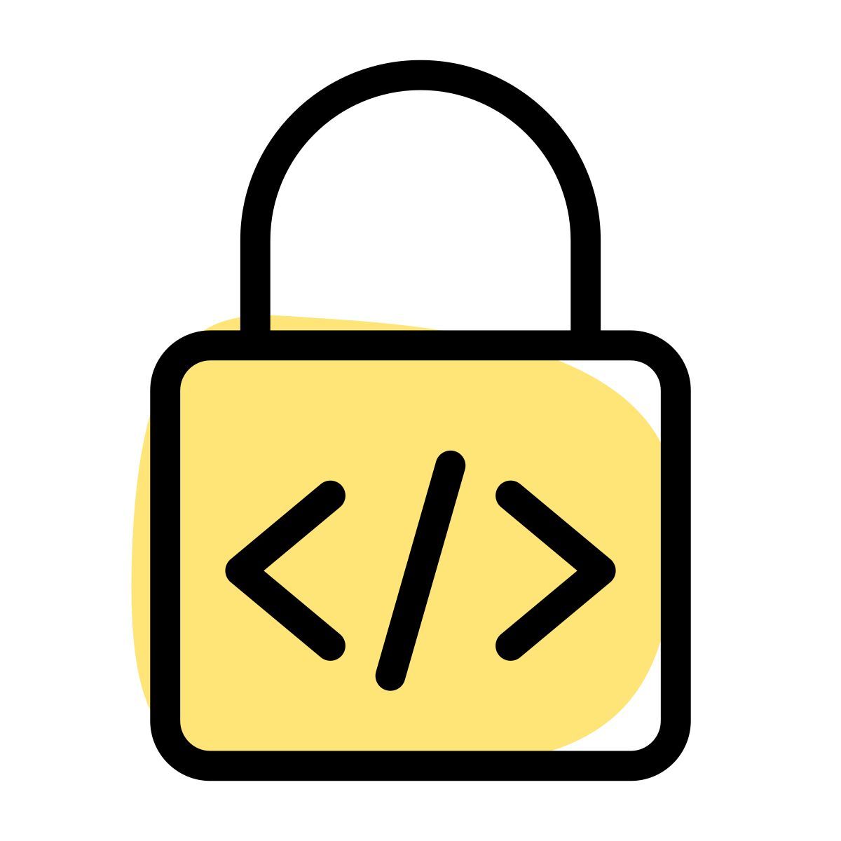 secure programming icon