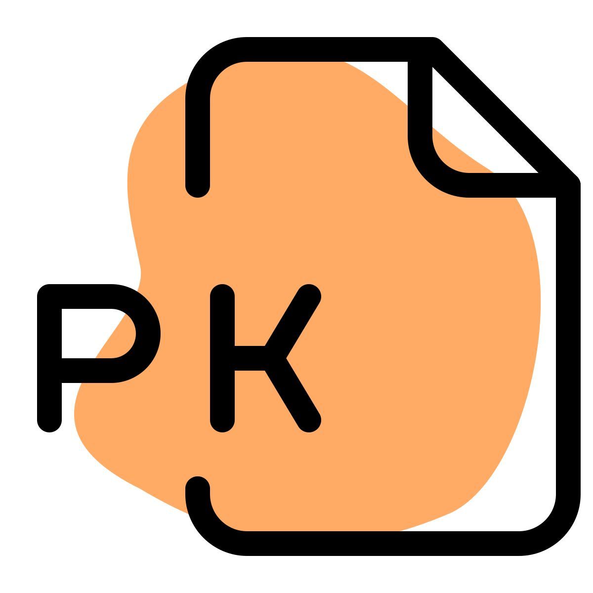 pk file icon