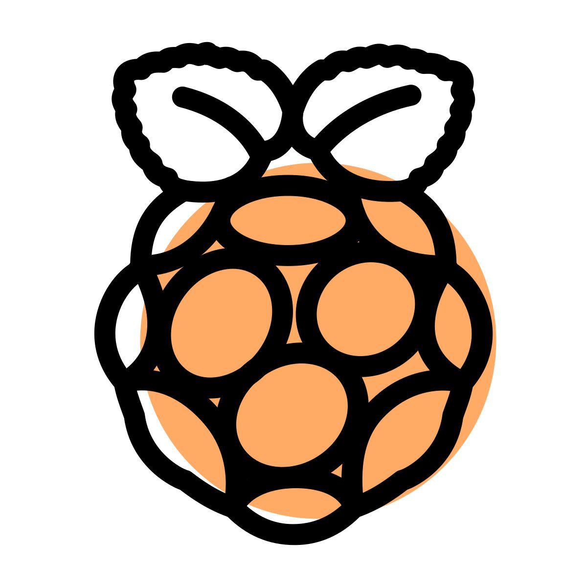 raspberry pi icon