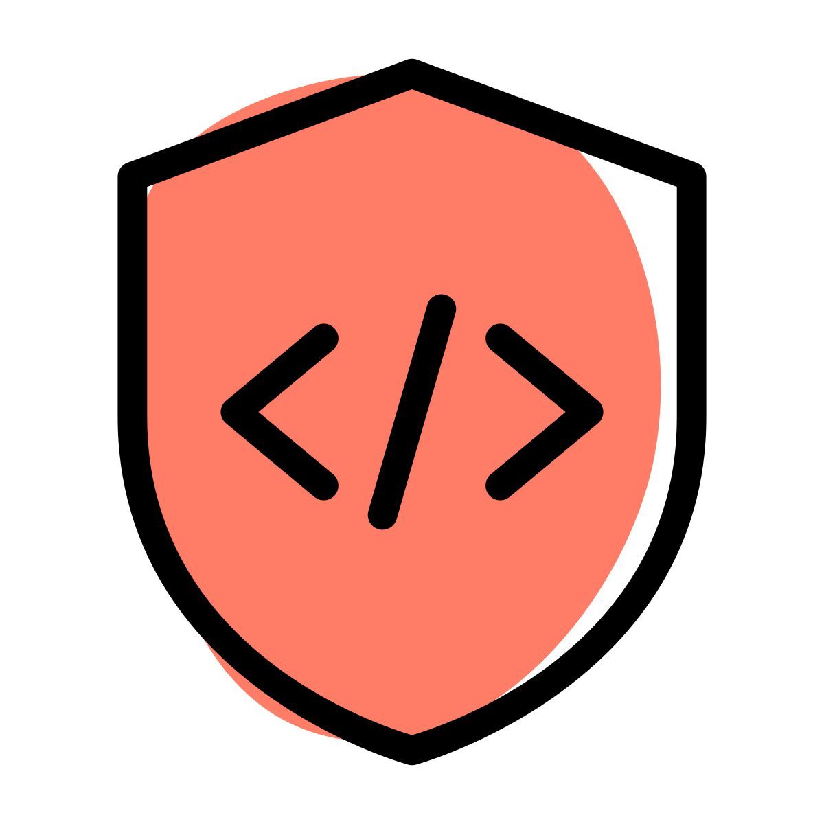 secure programming icon