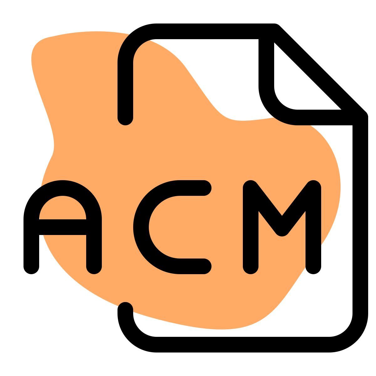 fichier acm icon