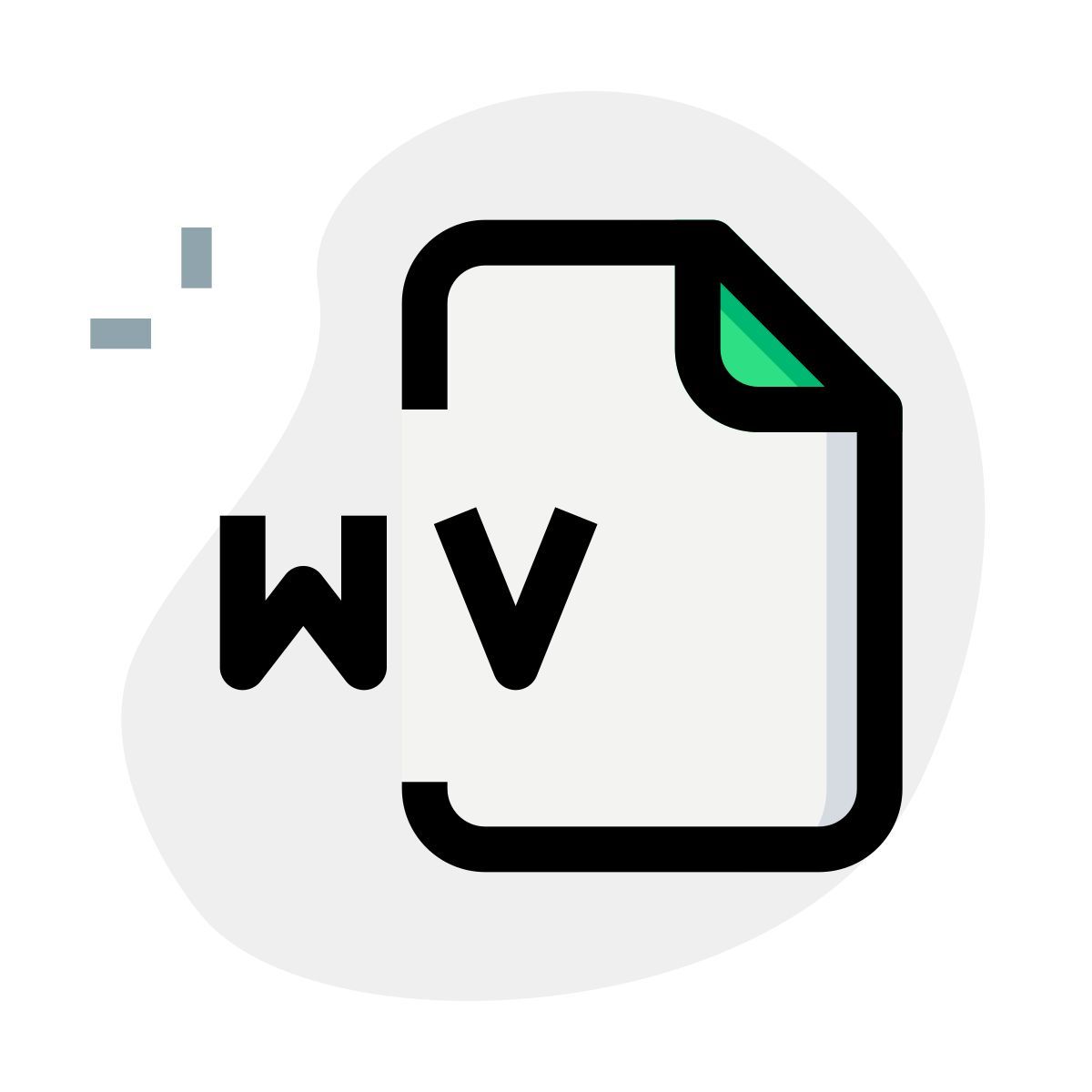 fichier wv icon