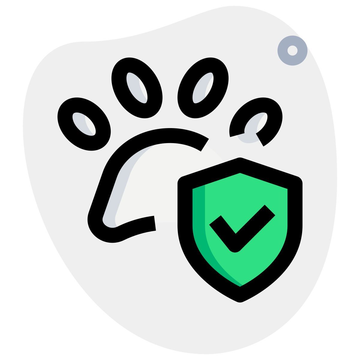 pet insurance coverage icon