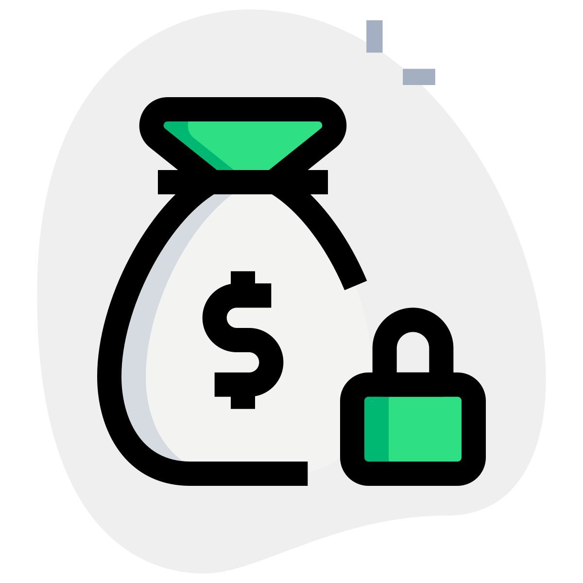 financial security icon