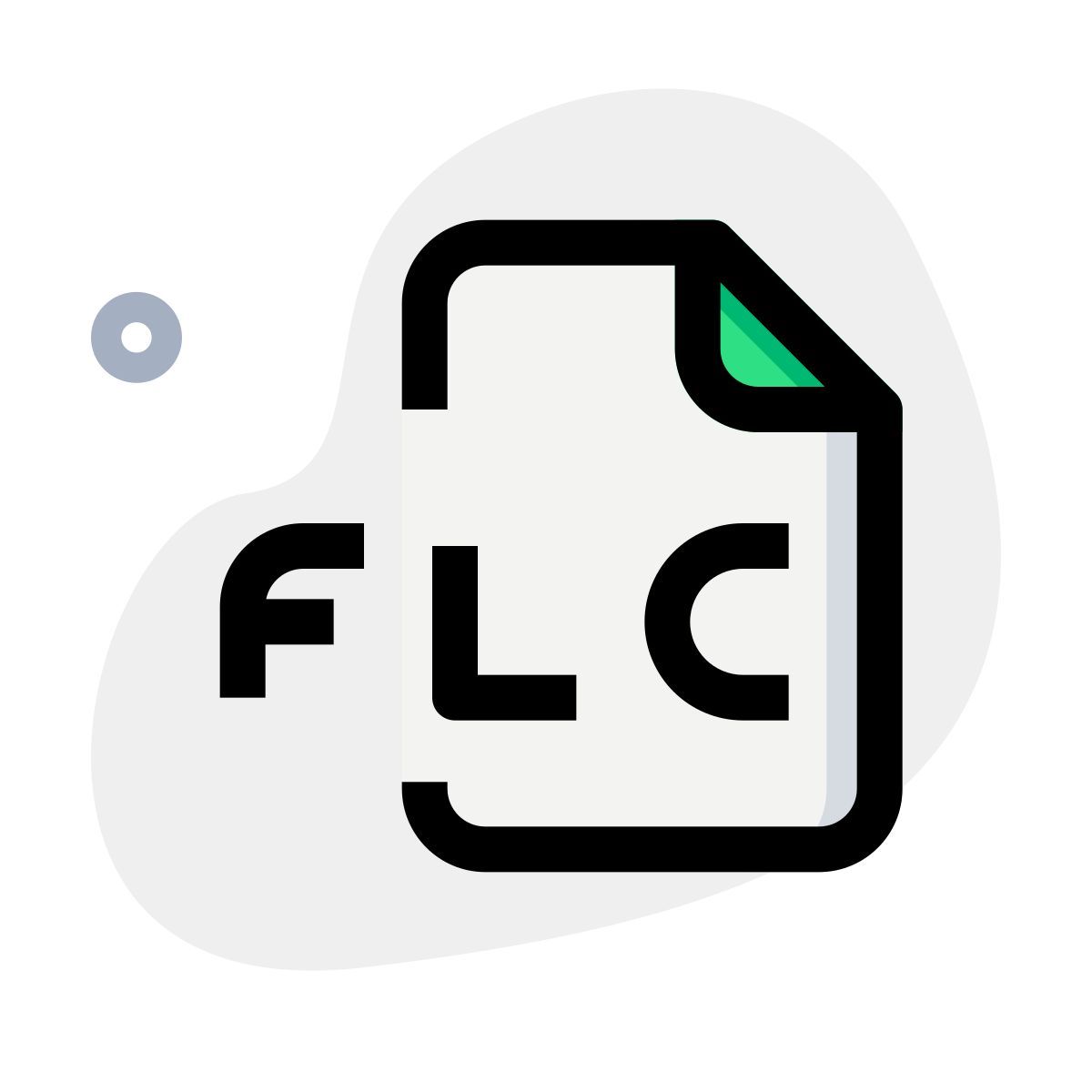 flc 파일 icon