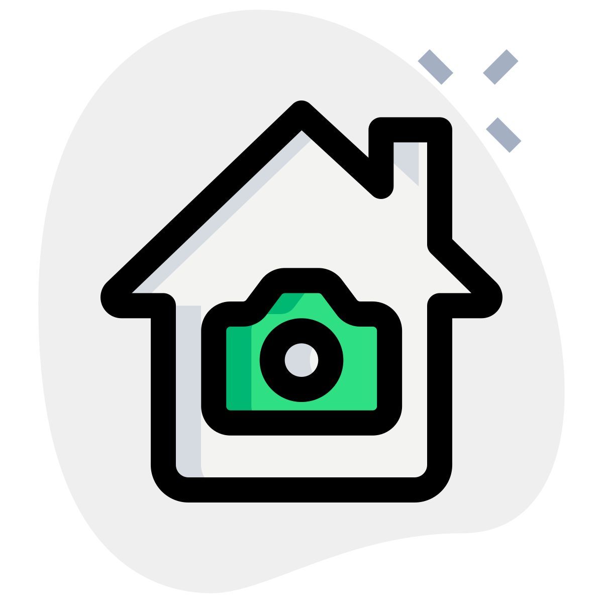 home cctv icon