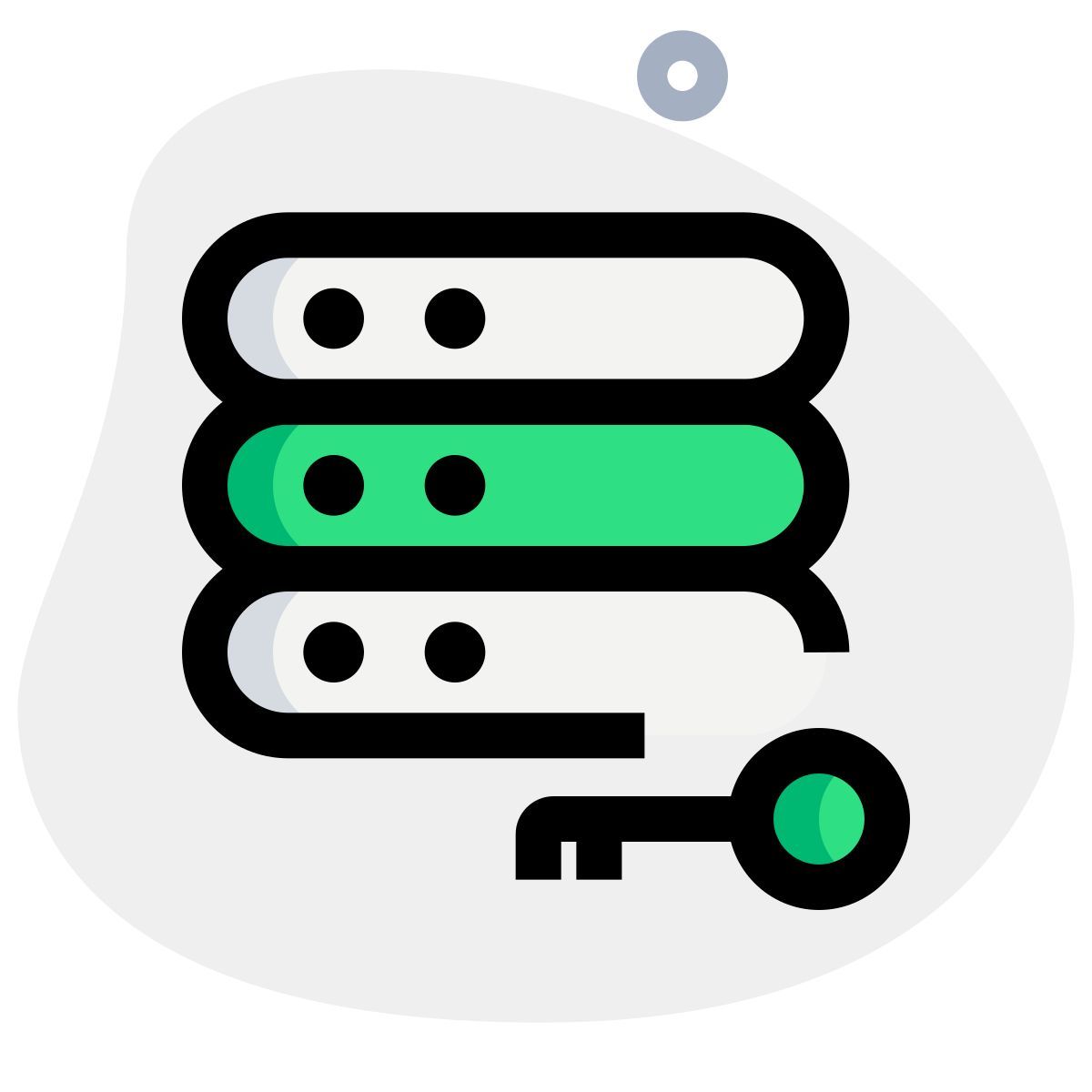 server key icon