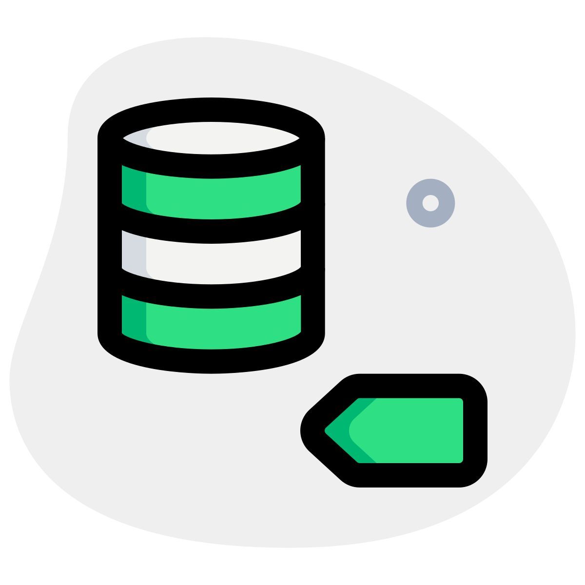 Etichetta del database icon