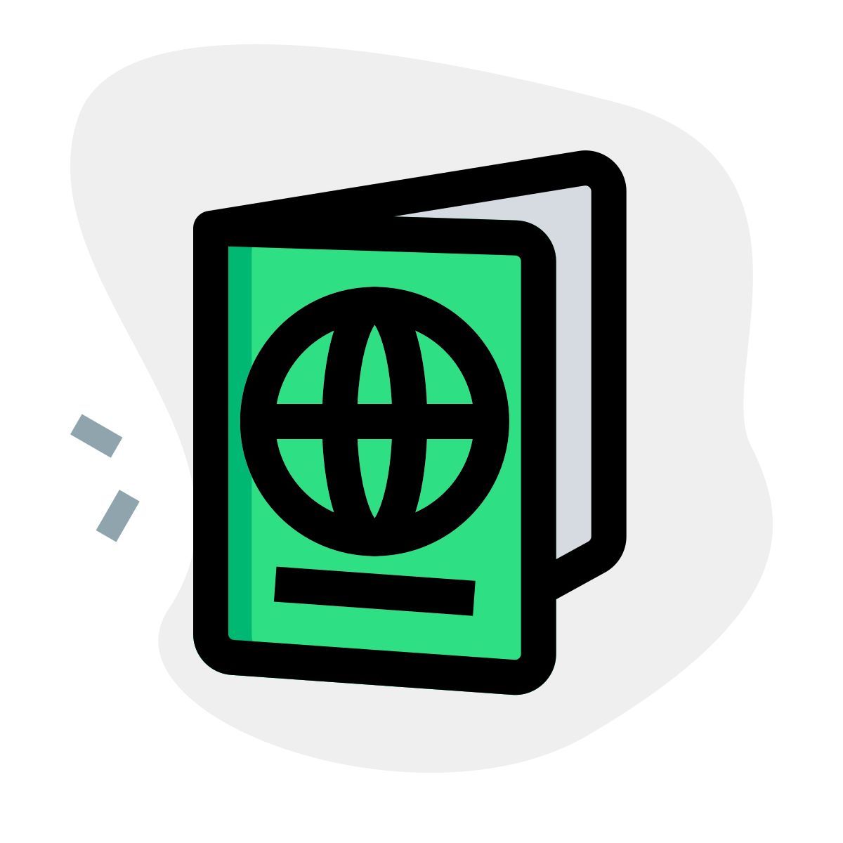 passport icon