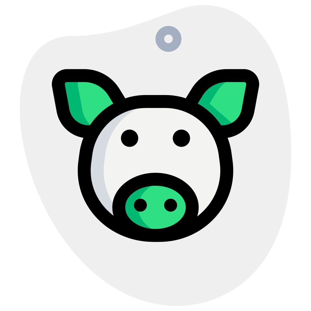 pig icon