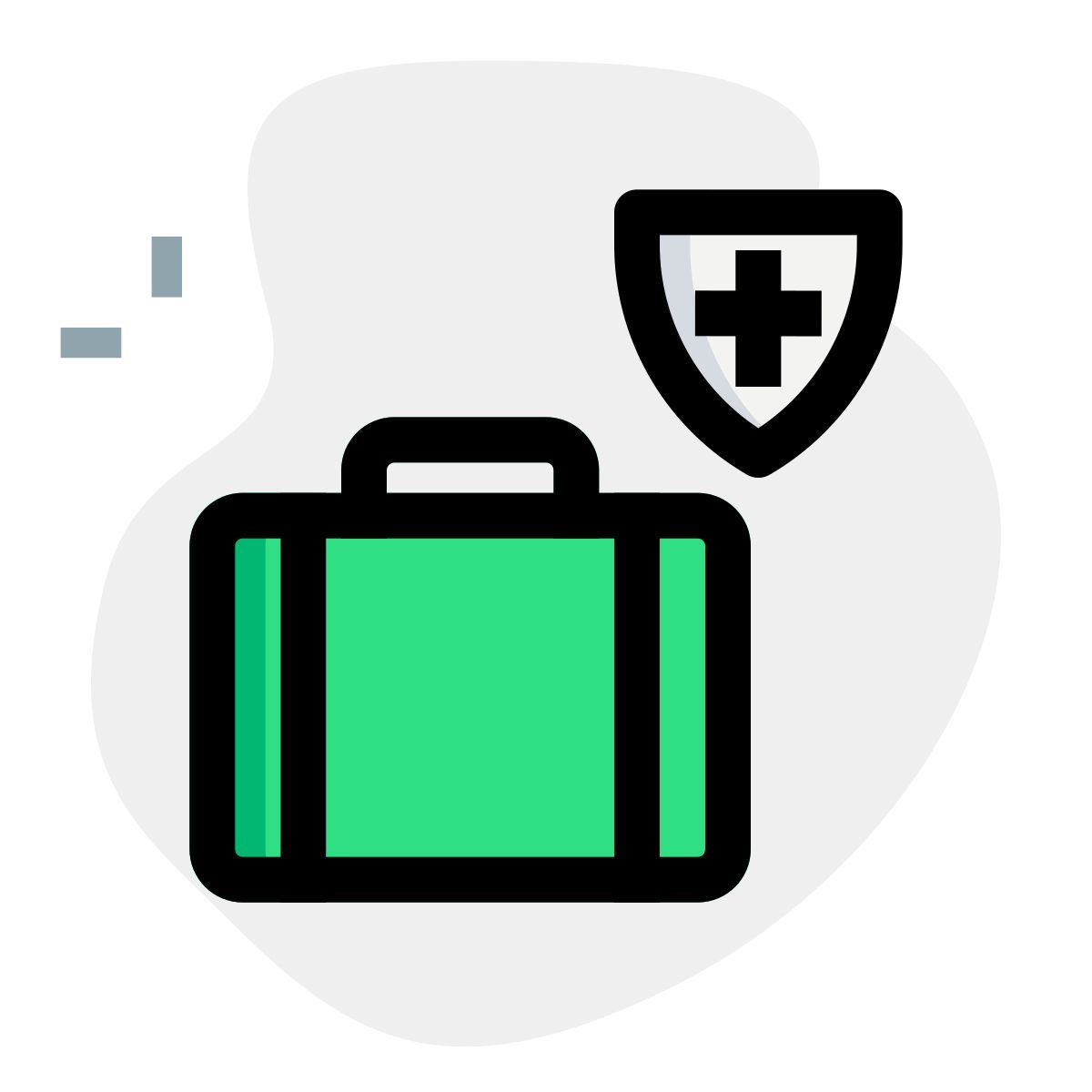 수하물 보험 icon