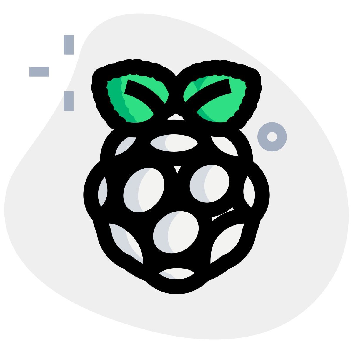 raspberry pi icon