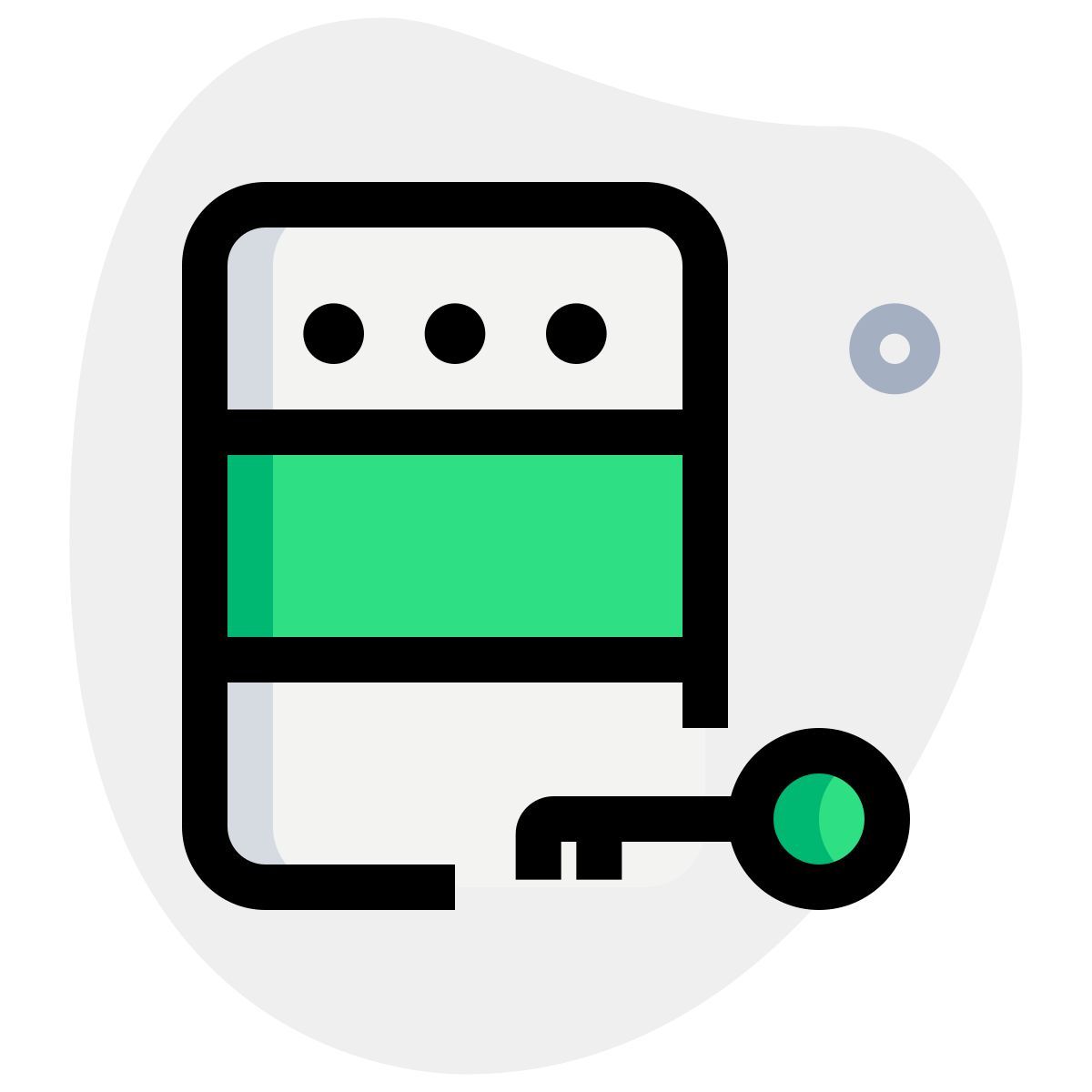 server access icon