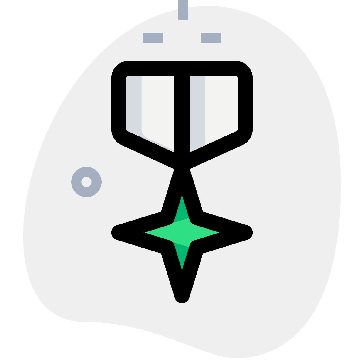 medalla estrella de la marina icon