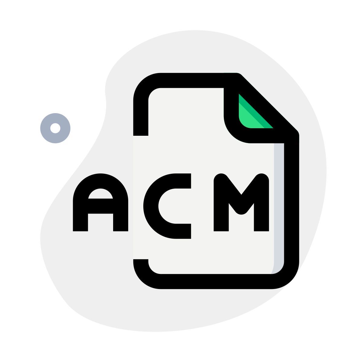 fichier acm icon