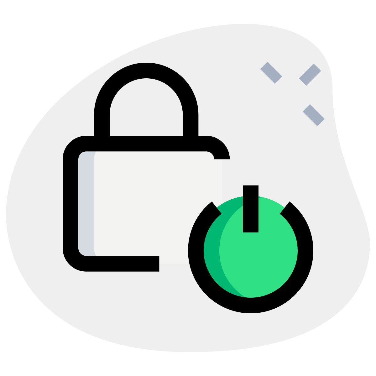 security switch icon